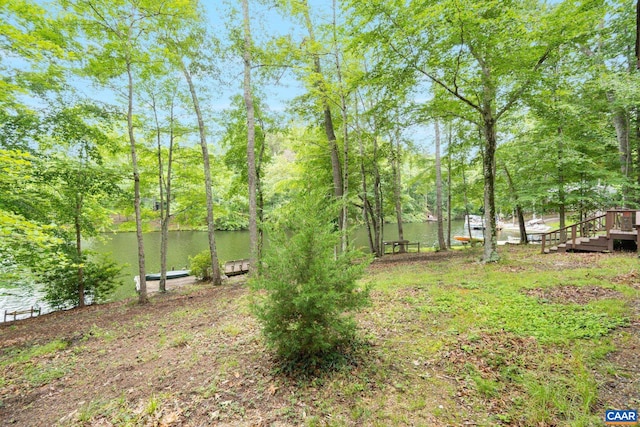 19 Piedmont Ln, Palmyra, VA 22963 - photo 51