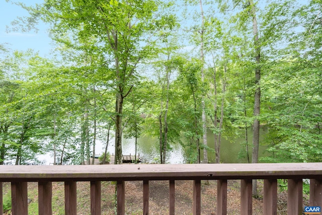 19 Piedmont Ln, Palmyra, VA 22963 - photo 42