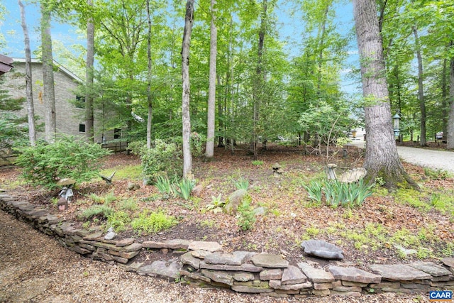 19 Piedmont Ln, Palmyra, VA 22963 - photo 6