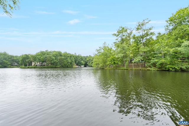 19 Piedmont Ln, Palmyra, VA 22963 - photo 49