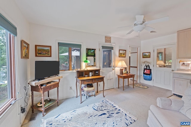 19 Piedmont Ln, Palmyra, VA 22963 - photo 22