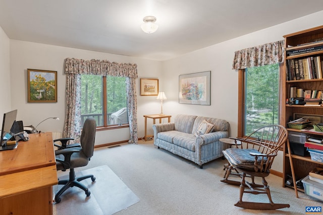 19 Piedmont Ln, Palmyra, VA 22963 - photo 26
