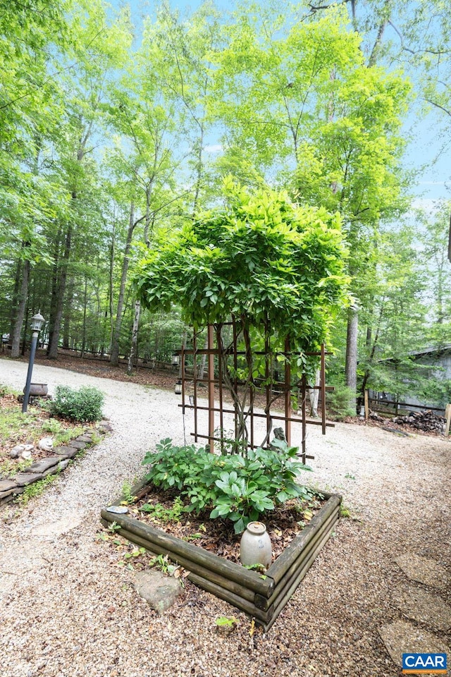 19 Piedmont Ln, Palmyra, VA 22963 - photo 5