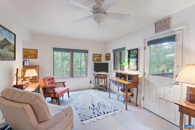 19 Piedmont Ln, Palmyra, VA 22963 - photo 21