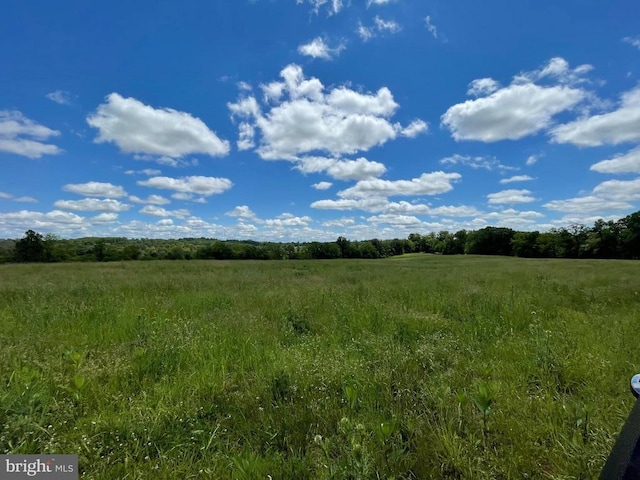 view of local wilderness featuring a rural view