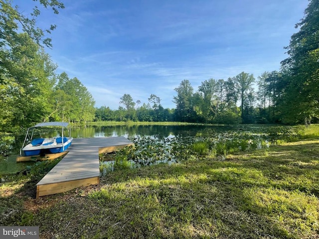 view of dock with a water view