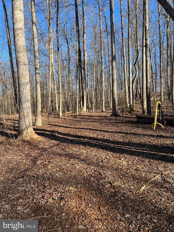 0 Woods View Ln, Reva, VA 22735
