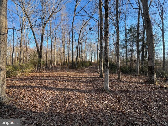 0 Woods View Ln, Reva, VA 22735