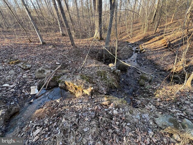 0 Woods View Ln, Reva, VA 22735
