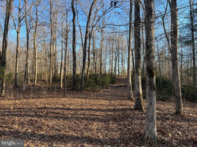 0 Woods View Ln, Reva, VA 22735