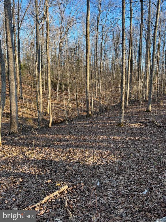 0 Woods View Ln, Reva, VA 22735