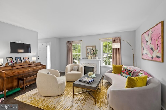 11606 New Bond St, Fredericksburg, VA 22408 - living room featuring wood finished floors and a glass covered fireplace