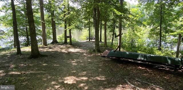 10724 Tealwing Cv, Fredericksburg, VA 22407 - photo 58