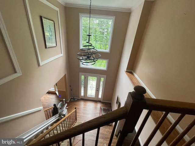 10724 Tealwing Cv, Fredericksburg, VA 22407 - photo 19
