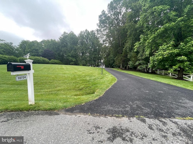 10724 Tealwing Cv, Fredericksburg, VA 22407 - photo 45