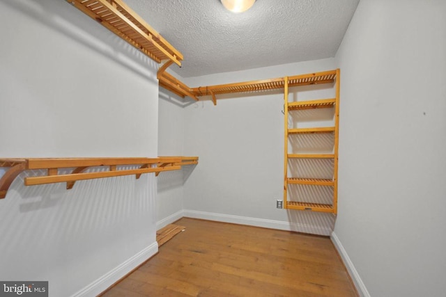 1229 Milton Rd, Charlottesville, VA 22902 - photo 26