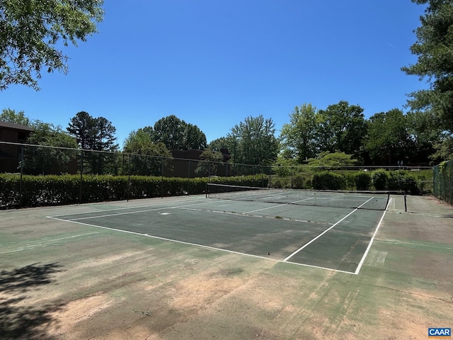 125 Turtle Creek Rd Unit 9, Charlottesville, VA 22901 - view of tennis court