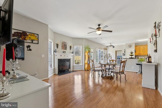 dining area with ceiling fan, healthy amount of natural light, light wood-style flooring, and a glass covered fireplace