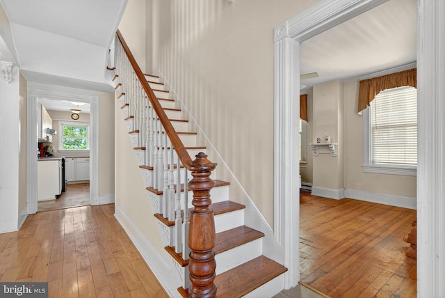 123 Main St E, Luray, VA 22835 - photo 6