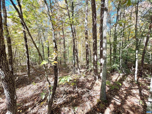 Three Notch Rd, Louisa, VA 23093 - photo 2