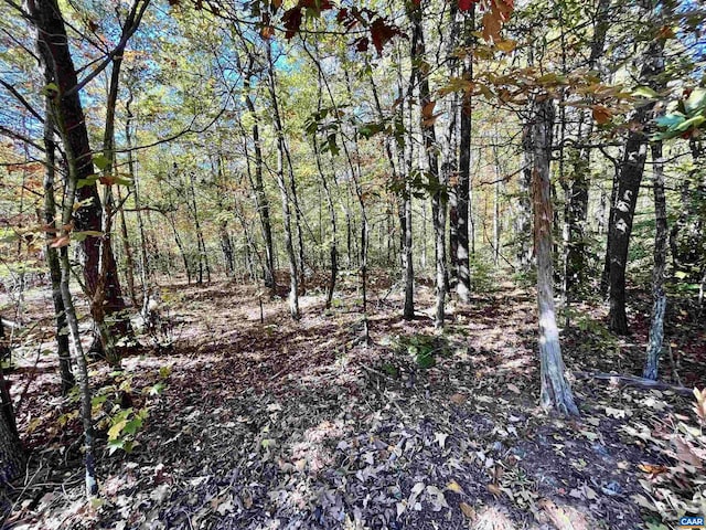 Three Notch Rd, Louisa, VA 23093 - photo 7
