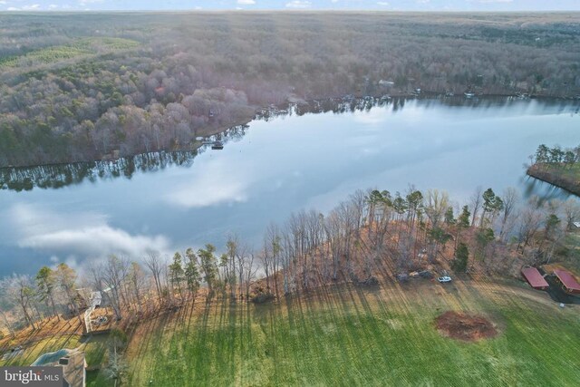 6602 Sunrise Bay Dr, Mineral, VA 23117 - photo 14