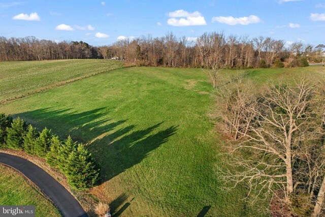 6602 Sunrise Bay Dr, Mineral, VA 23117 - photo 30