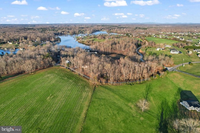 6602 Sunrise Bay Dr, Mineral, VA 23117 - photo 24
