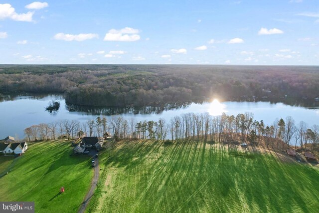 6602 Sunrise Bay Dr, Mineral, VA 23117 - photo 40
