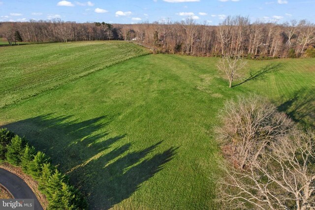 6602 Sunrise Bay Dr, Mineral, VA 23117 - photo 33