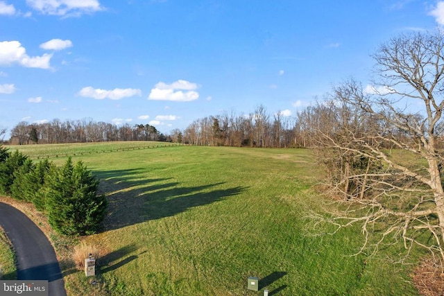 6602 Sunrise Bay Dr, Mineral, VA 23117 - photo 32