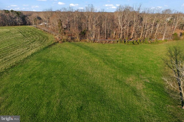 6602 Sunrise Bay Dr, Mineral, VA 23117 - photo 34