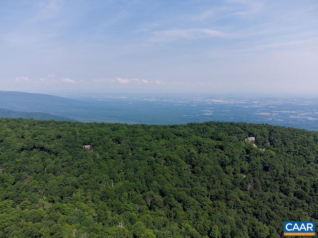 37 Coopers Vantage, Wintergreen Resort, VA 22967