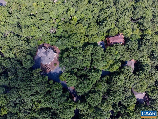 37 Coopers Vantage, Wintergreen Resort, VA 22967
