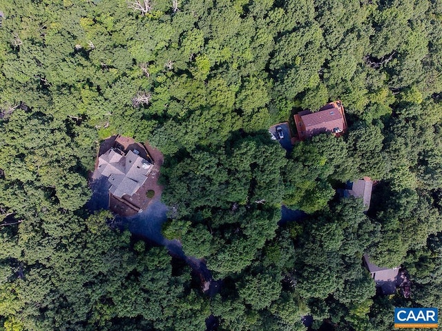 37 Coopers Vantage, Wintergreen Resort, VA 22967
