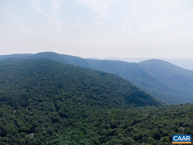 37 Coopers Vantage, Wintergreen Resort, VA 22967