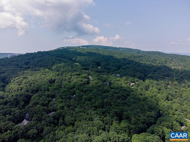 37 Coopers Vantage, Wintergreen Resort, VA 22967