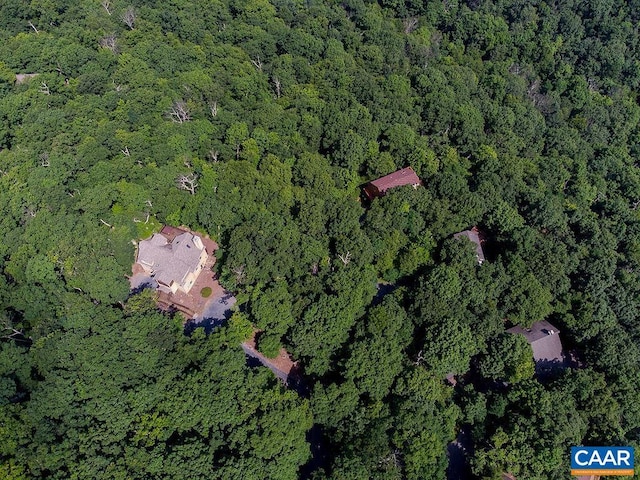 37 Coopers Vantage, Wintergreen Resort, VA 22967
