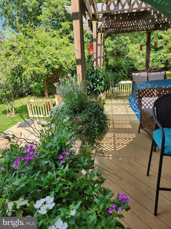 wooden deck with a pergola