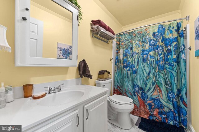 bathroom with a shower with curtain, vanity, and toilet