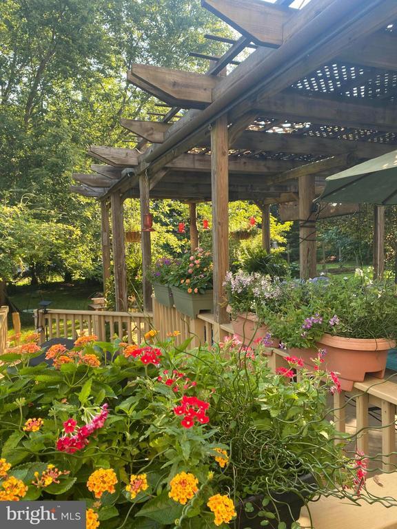 view of yard with a pergola