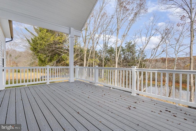 26700 Daniels Point Dr, Unionville, VA 22567 - photo 36