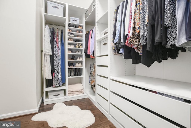  - walk in closet with dark wood-style flooring