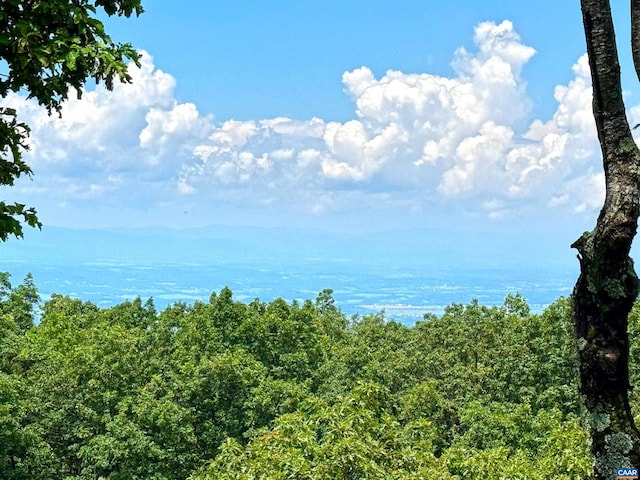 58 Summit Ln, Wintergreen Resort, VA 22967 - photo 17