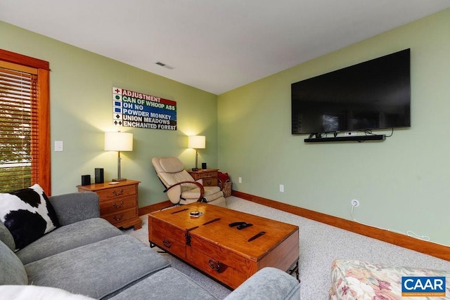58 Summit Ln, Wintergreen Resort, VA 22967 - photo 69
