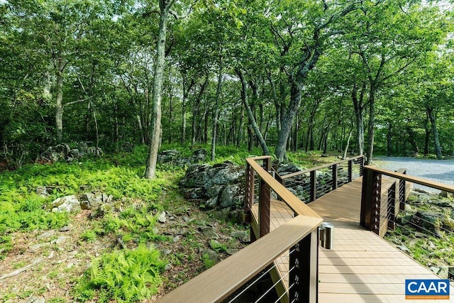 58 Summit Ln, Wintergreen Resort, VA 22967 - photo 13