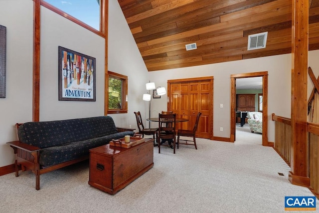58 Summit Ln, Wintergreen Resort, VA 22967 - photo 63