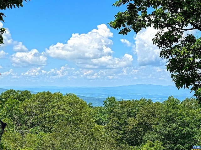 58 Summit Ln, Wintergreen Resort, VA 22967 - photo 16