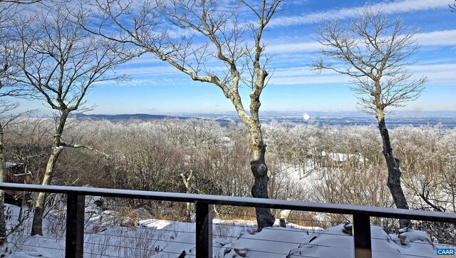 58 Summit Ln, Wintergreen Resort, VA 22967 - photo 43