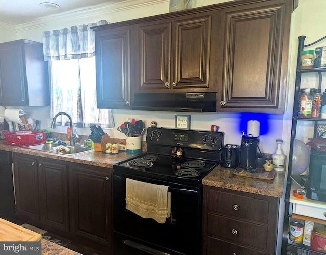 10834 Tidewater Trl, Fredericksburg, VA 22408 - kitchen with black range with electric cooktop, extractor fan, crown molding, and dark brown cabinets